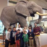 En el museo de Ciencias Naturales