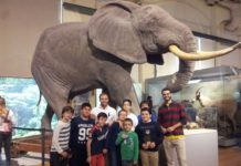 En el museo de Ciencias Naturales