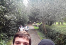 Camino de Santiago