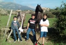 Plan en las Cabañas y en el Jarama