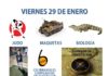 El plan del viernes y del sábado
