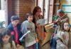 Plan familiar solidario