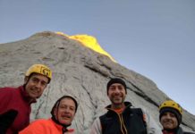 Salces en la cumbre del Naranjo