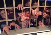 2017 Zombie Apocalypse