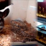 Biología sobrevive a la crisis